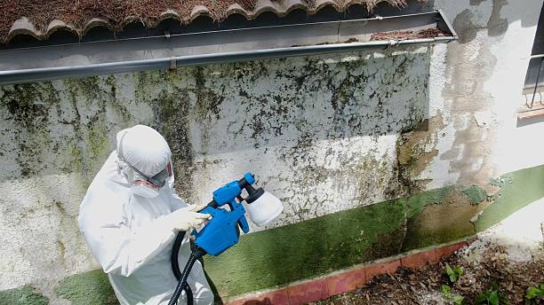 Trusted Mold Inspection service in Haworth, NJ - Cheap Mold Removal